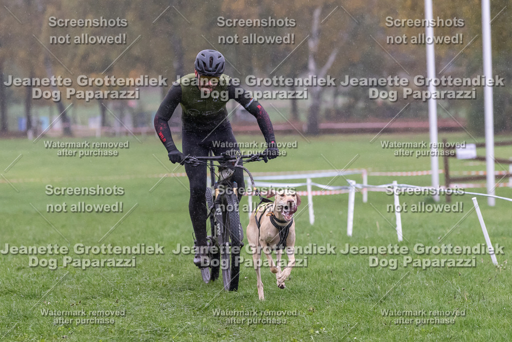 Dog Paparazzi - SD CaniX Championship 2025-906 | Dog Paparazzi Jeanette Grottendiek Fotografie & Videografie - Realisiert mit Pictrs.com