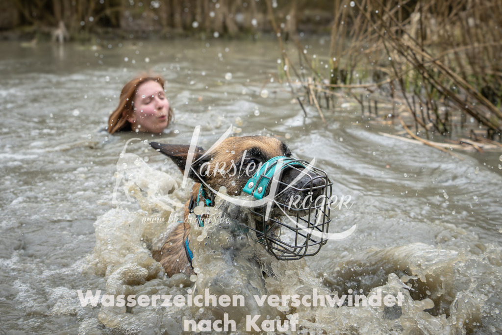 1347_ZZ92794 | kk-dogfotos