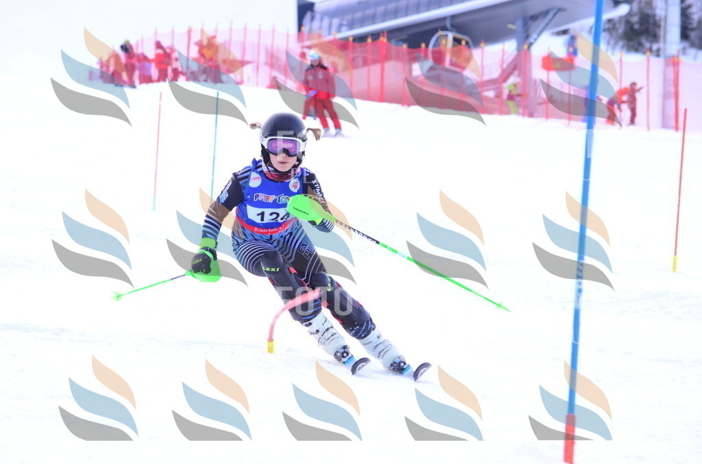 B1749 | holidayphoto