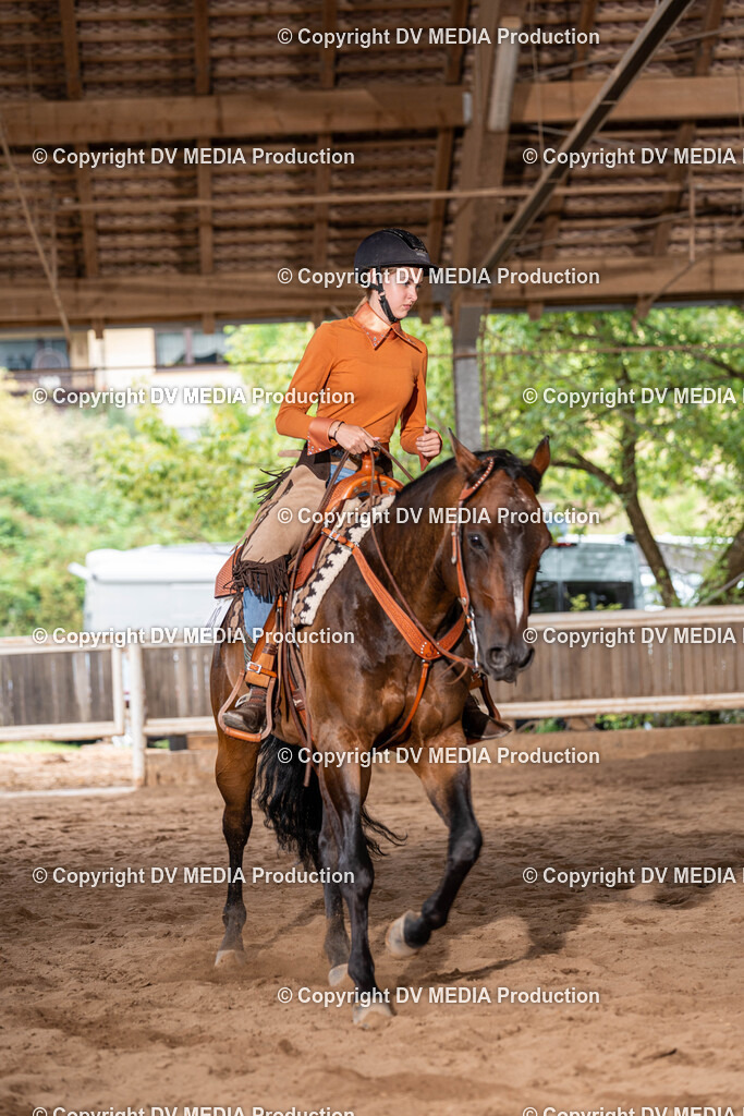 Erbach Tag 1-894 | dv-media-shop - Realisiert mit Pictrs.com