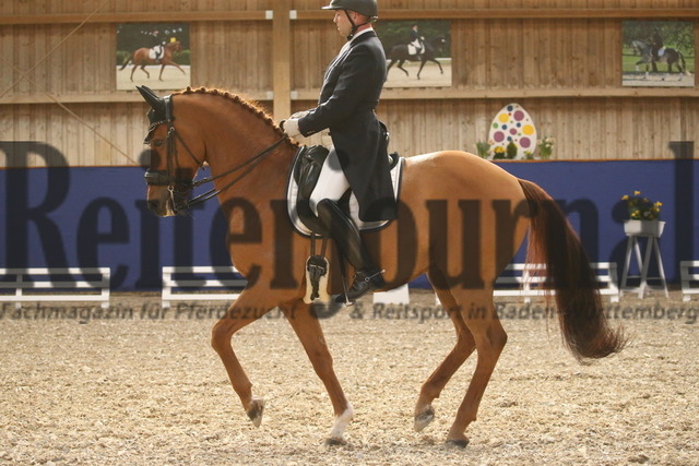 Turnier_Zeutern_2022_Prfg.Nr.02_Kurz-GrandPrix_Dirk Glitz_Elian Royale (30) | Alle Fotos der Reiterjournal Fotografin Doris Matthaes im Reiterjournal Online-Fotoshop. - Realisiert mit Pictrs.com
