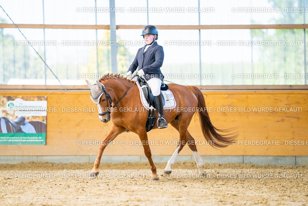 DSC07733 | Pferdegrafie