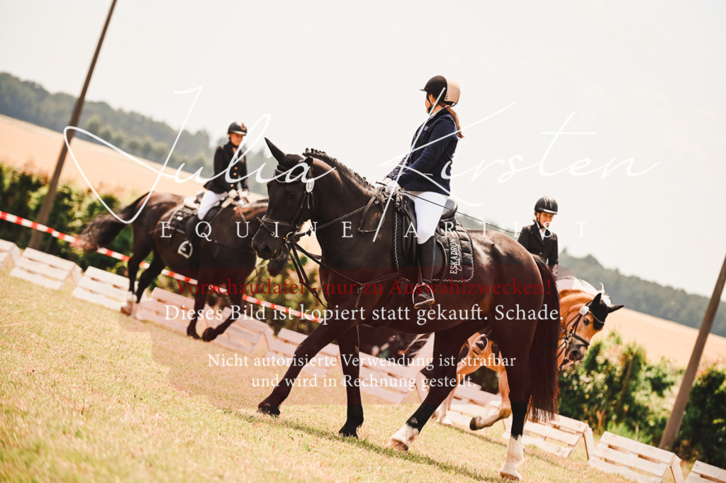 DSC_6310 | Pferde- und Turnierfotografie in Westsachsen. Pferdeportraits, Auftragszeichnungen und intuitive Kunst.