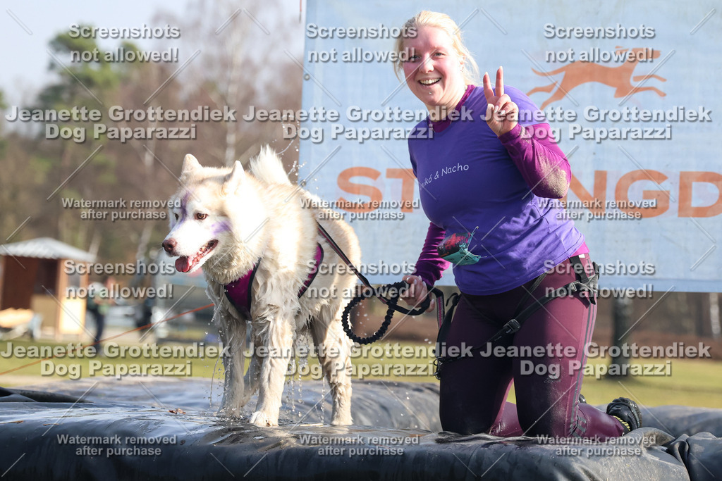 Dog Paparazzi - Strongdog North Mrz26-1575 | Dog Paparazzi Jeanette Grottendiek Fotografie & Videografie - Realisiert mit Pictrs.com