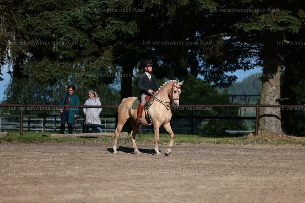 KlasseL_Stoibphotography_CAM24304.JPG | working equitationturnier fotograf videograf stoibphotography marixx film working equitation deutschland reitsport turnierfotografie eventfotografie equestrian events