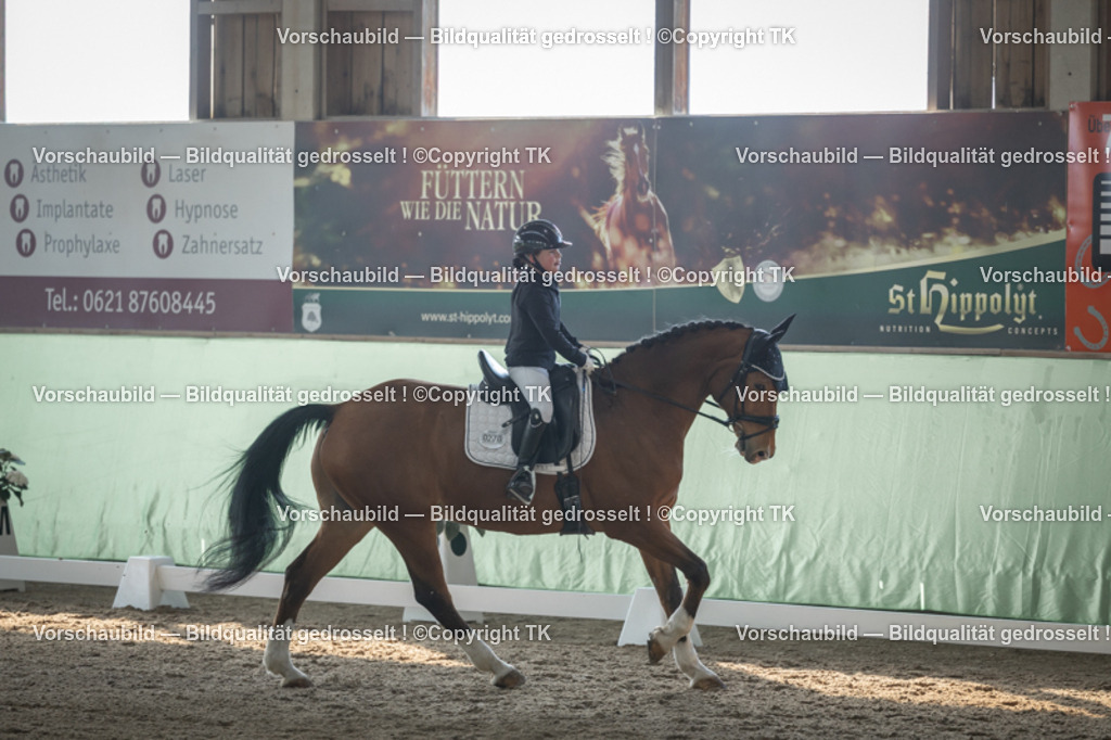 _D5A8200 | Emotionale Pferde- & People-Fotografie rund um Heidelberg, Leimen & Umgebung. Natürliche Fotos von Pferd, Mensch & Familie. Jetzt Termin sichern!