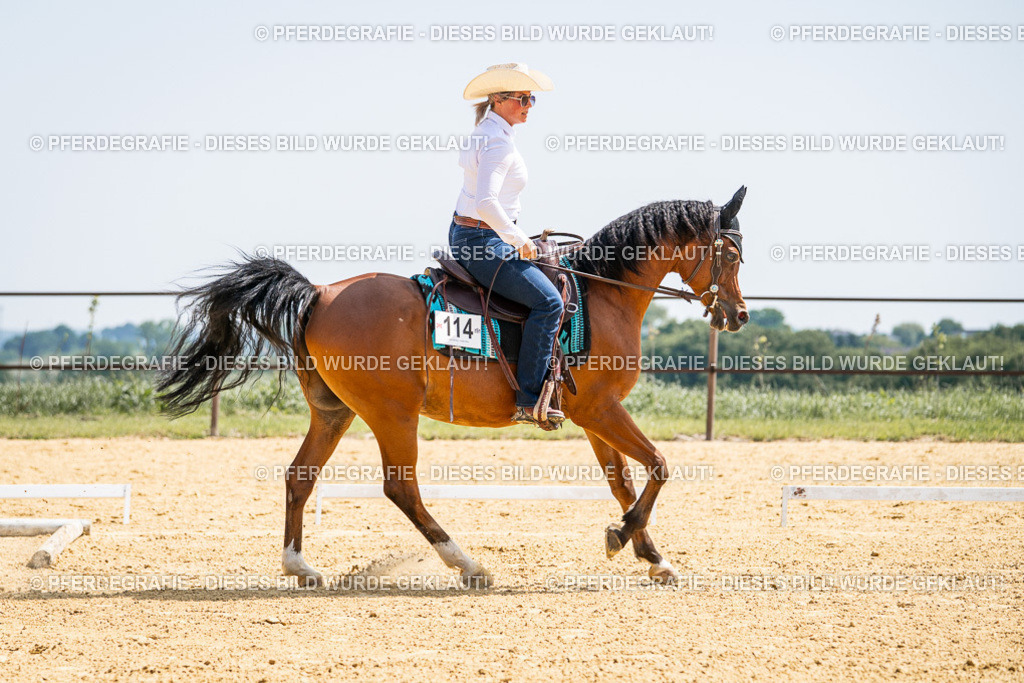 DSC00452 | Pferdegrafie