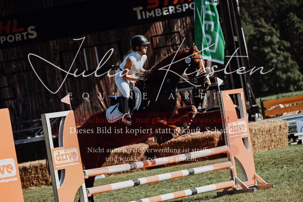 DSC_6976 | Pferde- und Turnierfotografie in Westsachsen. Pferdeportraits, Auftragszeichnungen und intuitive Kunst.