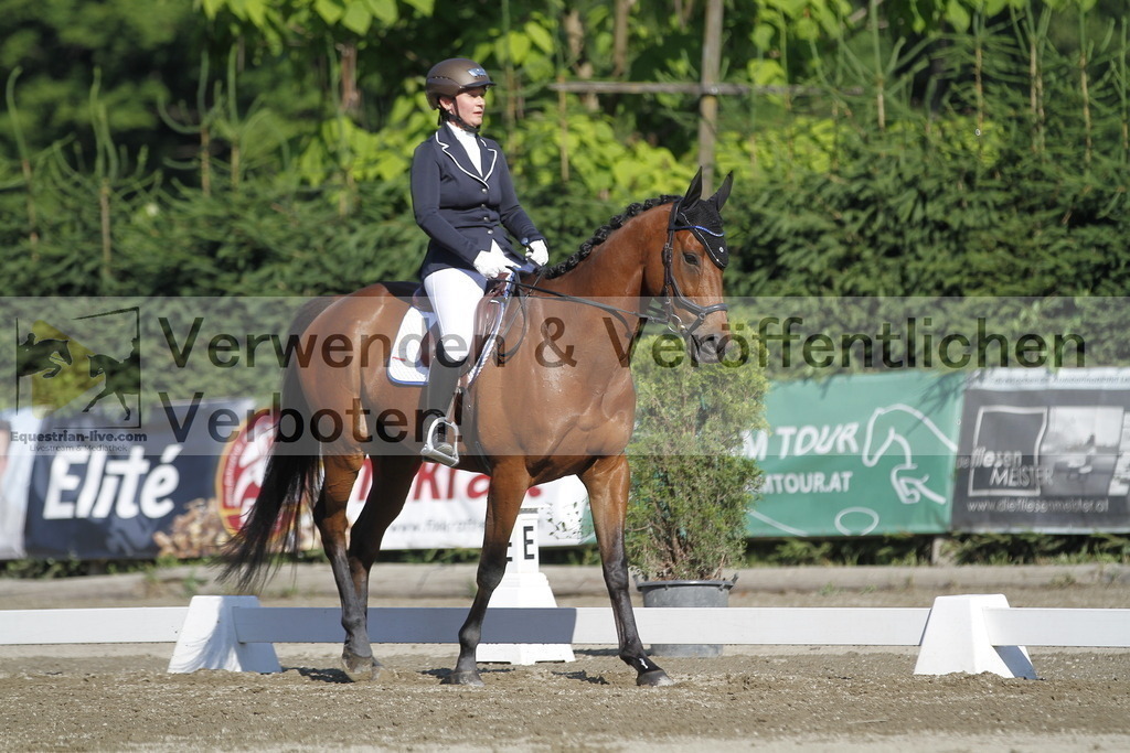 _MG_0597 | equestrian-live-com