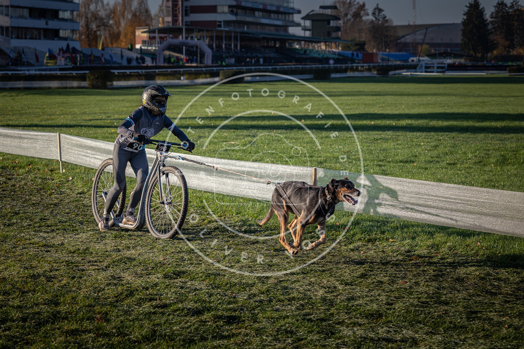 CaniXpix_0L8A3519 | Hundefotografie, Tierfotograf, Pfotenfotografie, Fotoshooting Hund, Hunde Portrait, Hundesport, Hundeportraits, Heideshooting, Hunde, Sportfotograf, Hundefotograf, Turnierhundsport, THS,  - Realisiert mit Pictrs.com