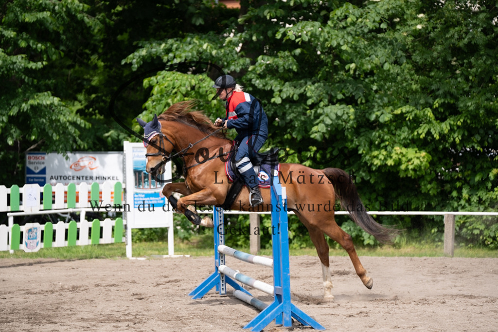 A7V04693 | Pferdefotograf