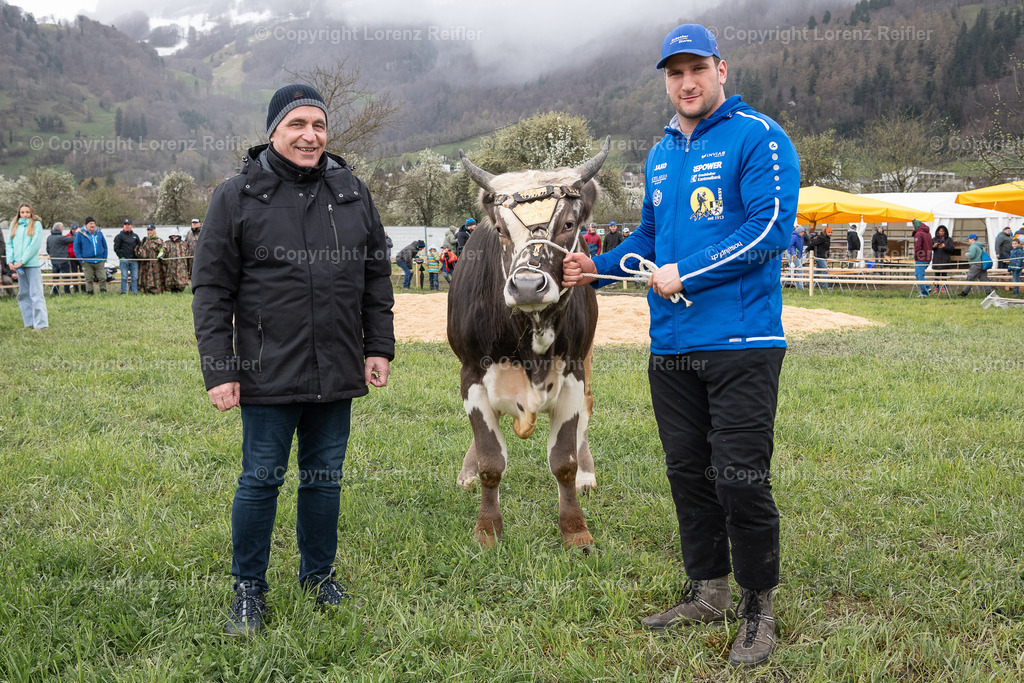 Schwingen -  Rheintal-Oberländer 2024 | Trübbach, 24.3.24, Schwingen - Rheintal-Oberländer.