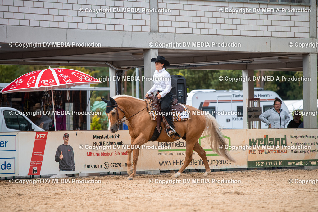 EWP_5644 | dv-media-shop - Realisiert mit Pictrs.com