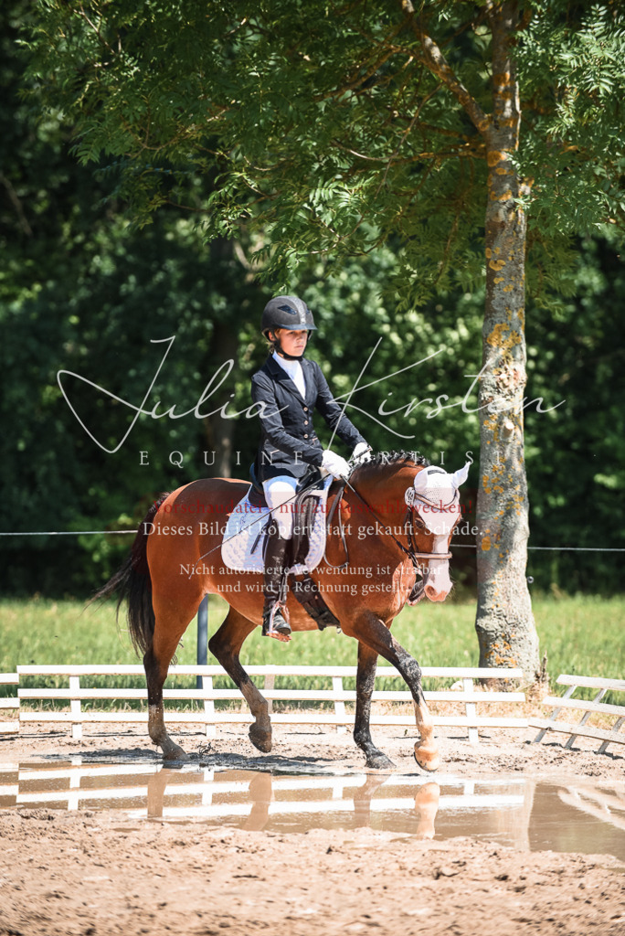 DSC_3161 | Pferde- und Turnierfotografie in Westsachsen. Pferdeportraits, Auftragszeichnungen und intuitive Kunst.
