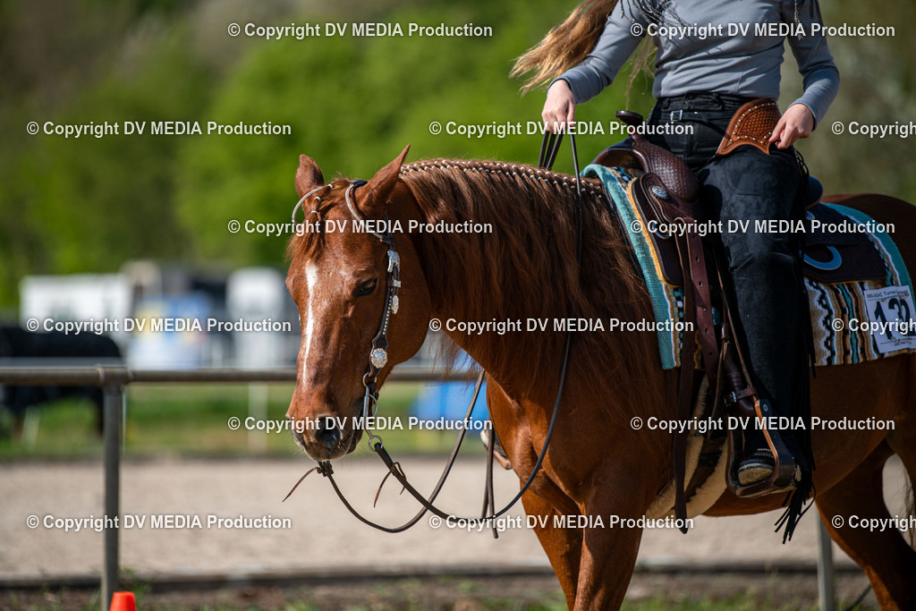 Heiligenwald Tag 2-522 | dv-media-shop - Realisiert mit Pictrs.com