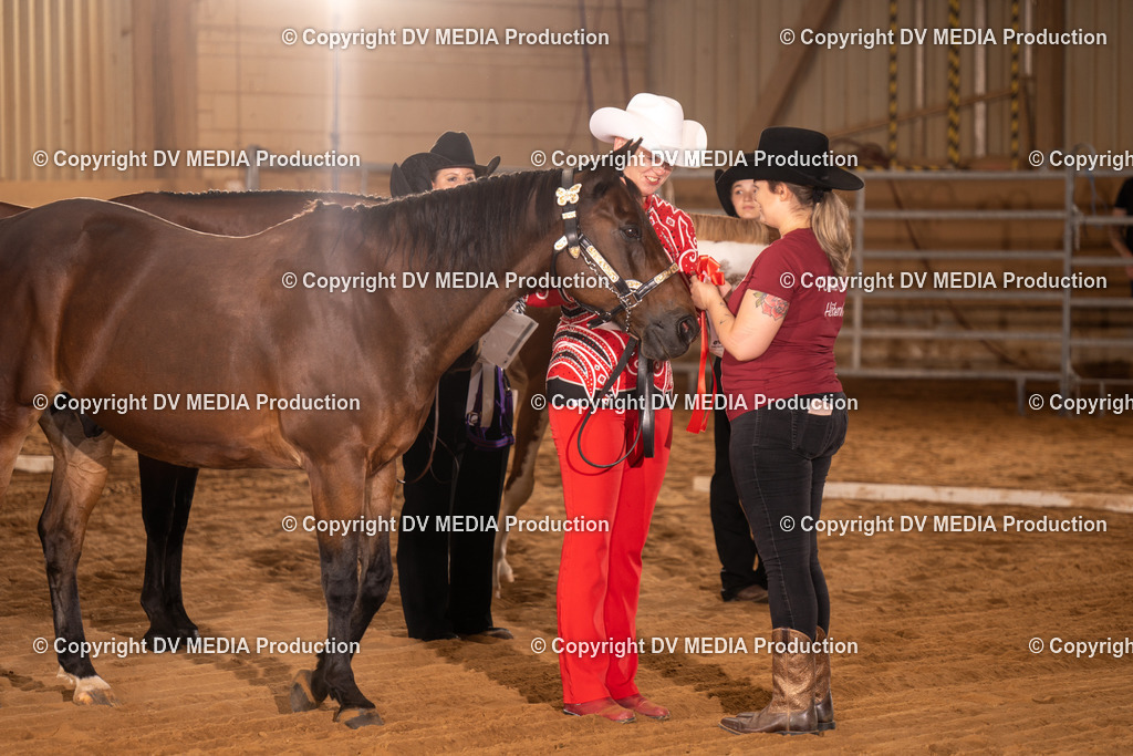 NID00069 | dv-media-shop - Realisiert mit Pictrs.com