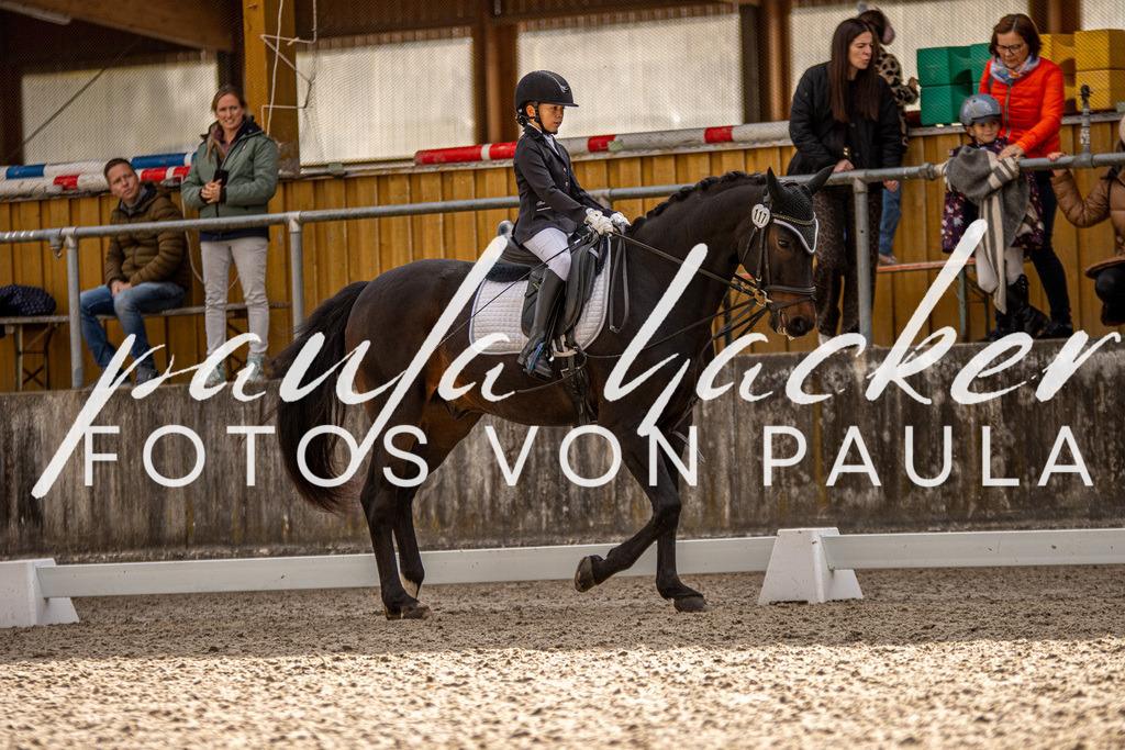 IMG_3743 | Erleben Sie dynamische Sport- und emotionale Tierfotografie in Süddeutschland mit Fotos von Paula. Spezialisiert auf Pferde- und Hundefotografie sowie Sportevents. Kontaktieren Sie mich für einzigartige und ausdrucksstarke Bilder Ihrer besonderen Momente. - Realisiert mit Pictrs.com