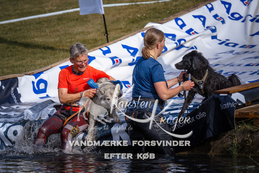 _ZZ981610755 | kk-dogfotos