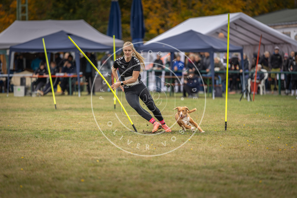Pfotenfotografie_DV3A7467 | Hundefotografie, Tierfotograf, Pfotenfotografie, Fotoshooting Hund, Hunde Portrait, Hundesport, Hundeportraits, Heideshooting, Hunde, Sportfotograf, Hundefotograf, Turnierhundsport, THS,  - Realisiert mit Pictrs.com