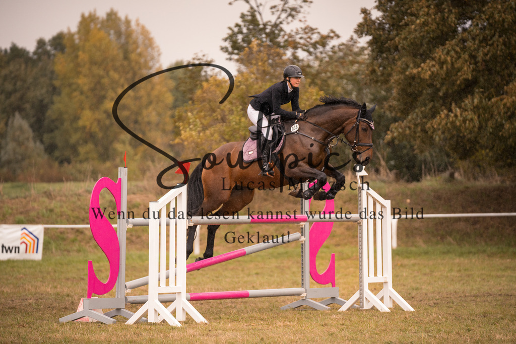 A7V07483 | Pferdefotograf