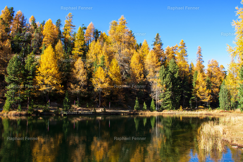 Lej Nair in St. Moritz | Erlebe eindrucksvolle Landschaftsfotografie aus dem Engadin und darüber hinaus. Raphael Fenner bietet zudem professionelle Fotoaufträge für Hochzeiten, Porträts und Unternehmen. Jetzt entdecken und inspirieren lassen!