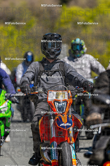 MSFotoServiceXXX156 | MSFotoService - Realisiert mit Pictrs.com