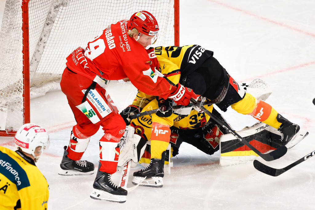 EHCB vs SCB 20260110_wb-2882 | Sportbilder, Sportfotograf, Hochzeits- und Eventfotografin, Flugshows, Portraits und Tiershooting, Aviation, Downhill, Nationalleague, Swissleague, International