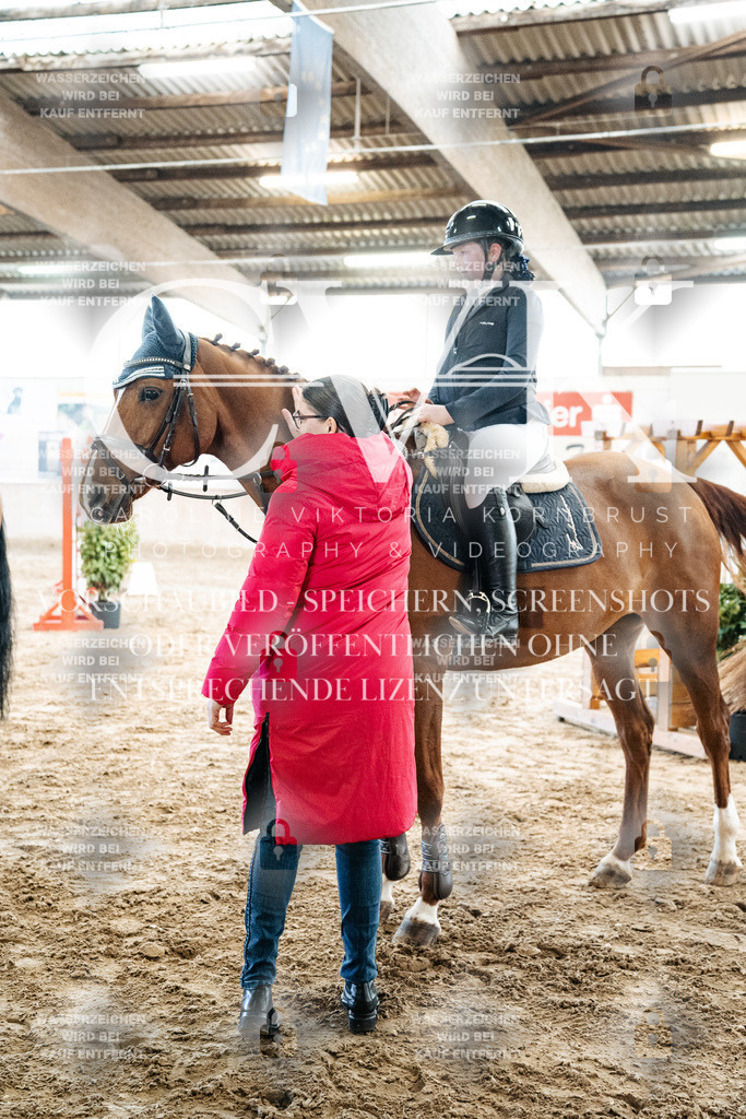 CK702861 | Turnierfotografie Pferdefotografie Trier Rheinland-Pfalz Pferdesport Reitsport Tierfotografie Sportfotografie Pferdevideo Pferdevideografie Equestrianvideography equestrianphotography  - Realized with Pictrs.com