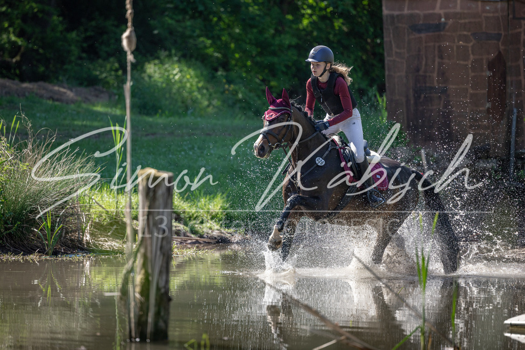 20260523-_3LI6948 | Tierfotografie Pferde, Hunde, Katzen, Haustiere.
Turnierfotografie Reitturniere, Reiten, Springreiten, Dressur in Hanau, dem Main-Kinzig-Kreis und dem Rhein-Main- Gebiet um Frankfurt