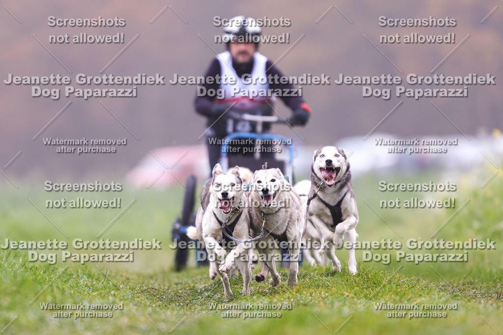 Dog Paparazzi - Visbeck 25 -43 | Dog Paparazzi Jeanette Grottendiek Fotografie & Videografie - Realisiert mit Pictrs.com