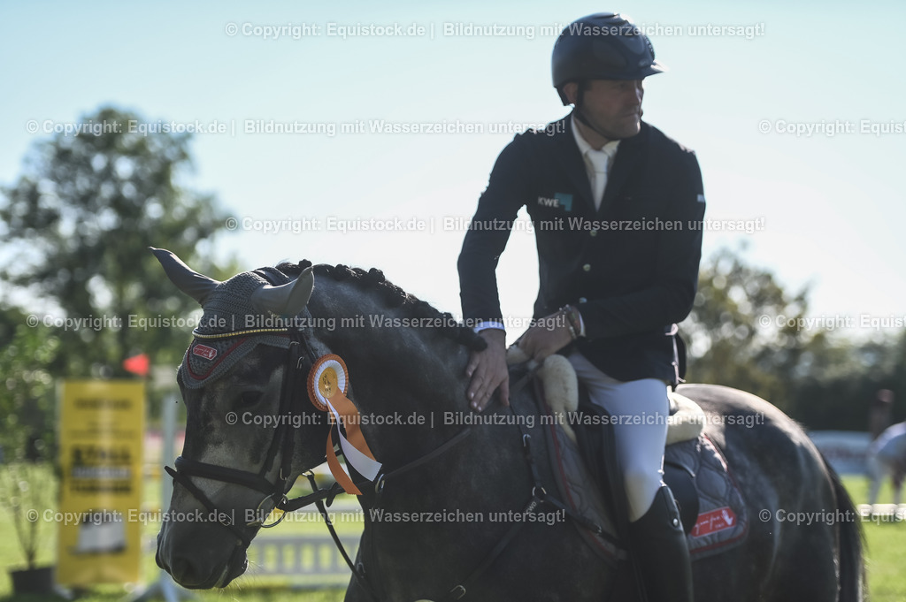 20230908_14-15_Springpferde-A_0134 | equistock
