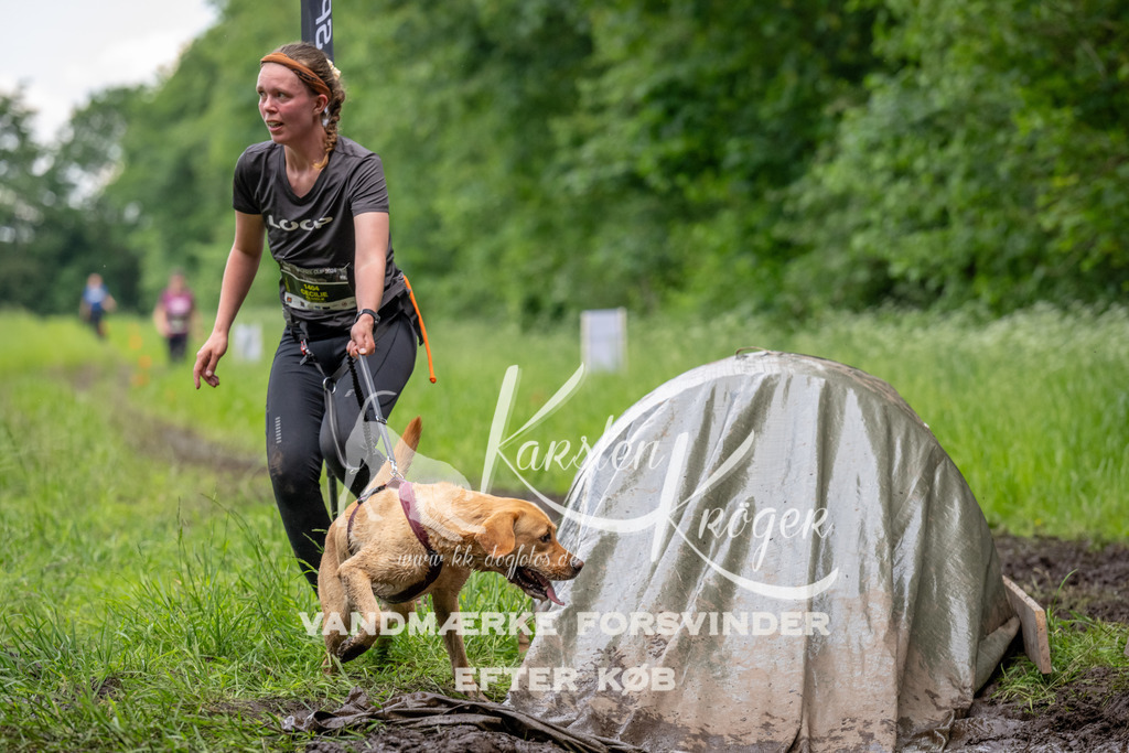 1524_ZZ93271 | kk-dogfotos