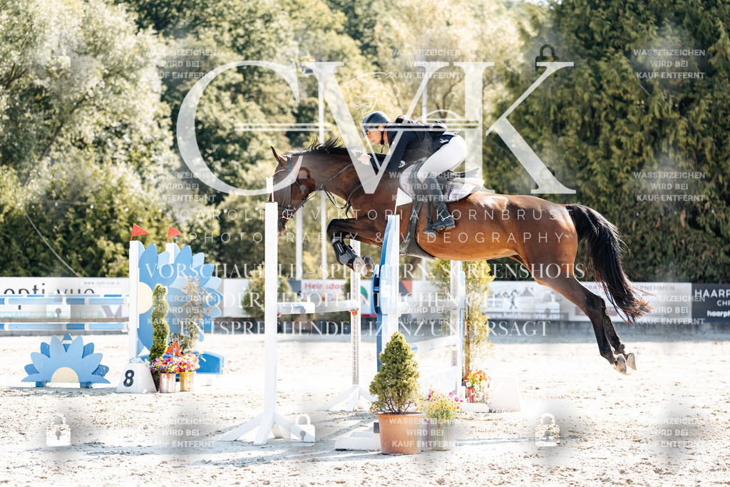 CK902676 | Turnierfotografie Pferdefotografie Trier Rheinland-Pfalz Pferdesport Reitsport Tierfotografie Sportfotografie Pferdevideo Pferdevideografie Equestrianvideography equestrianphotography  - Realisiert mit Pictrs.com