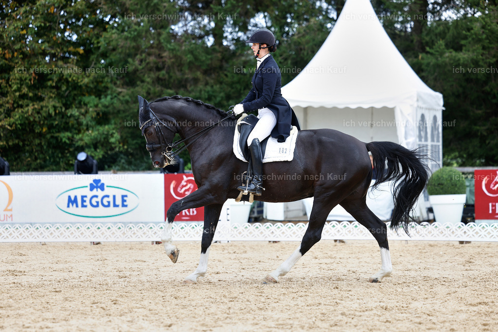 6-182-AMATUER-DRESSUR S_  -StoibPH-3504 | working equitationturnier fotograf videograf stoibphotography marixx film working equitation deutschland reitsport turnierfotografie eventfotografie equestrian events