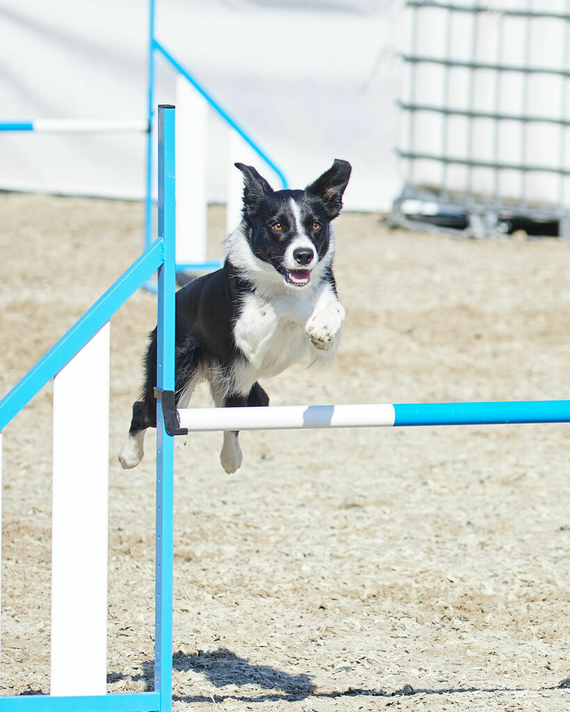 580A0165 | Peter Fridle Fotografie - Realisiert mit Pictrs.com