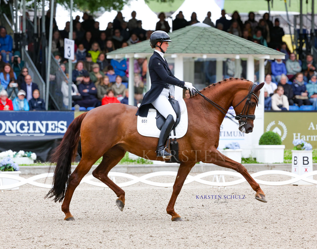 1B3A7516 | Reitsport Reiten