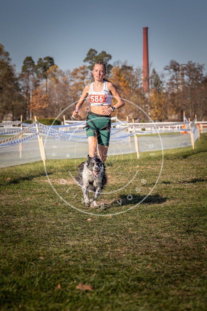 CaniXpix_0L8A8270 | Hundefotografie, Tierfotograf, Pfotenfotografie, Fotoshooting Hund, Hunde Portrait, Hundesport, Hundeportraits, Heideshooting, Hunde, Sportfotograf, Hundefotograf, Turnierhundsport, THS,  - Realisiert mit Pictrs.com