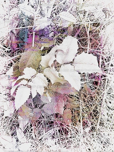 titusgraphy_IMG_2936_pe-03 | titusgraphy-shop: Geschenkideen mit Qualitätsfotos. titusgraphy-shop: gift ideas with quality photos. titusgraphy-shop: idées cadeaux avec photos de qualité.  - Realisiert mit Pictrs.com