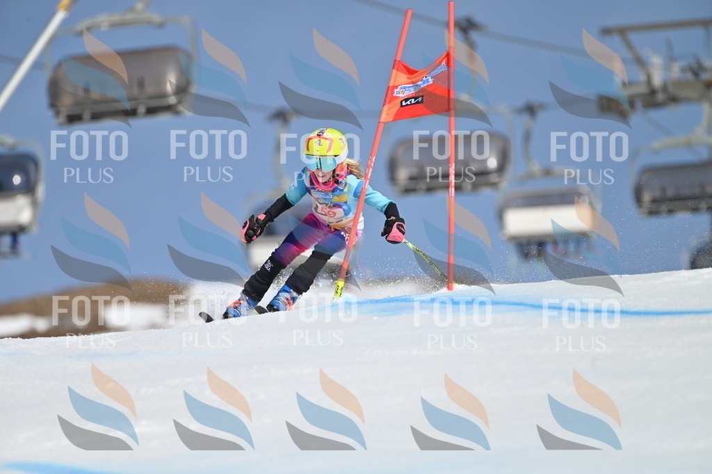 BGV_8696 | holidayphoto