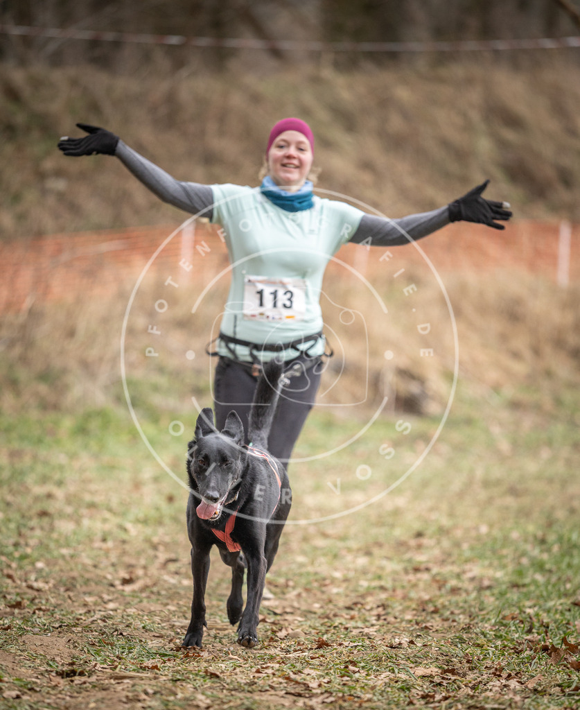Pfotenfotografie_DV3A7565 | Hundefotografie, Tierfotograf, Pfotenfotografie, Fotoshooting Hund, Hunde Portrait, Hundesport, Hundeportraits, Heideshooting, Hunde, Sportfotograf, Hundefotograf, Turnierhundsport, THS,  - Realisiert mit Pictrs.com