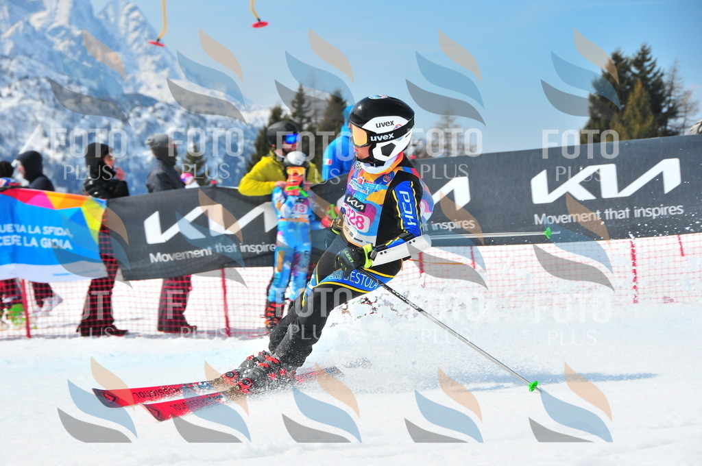 DSC_6784 | holidayphoto