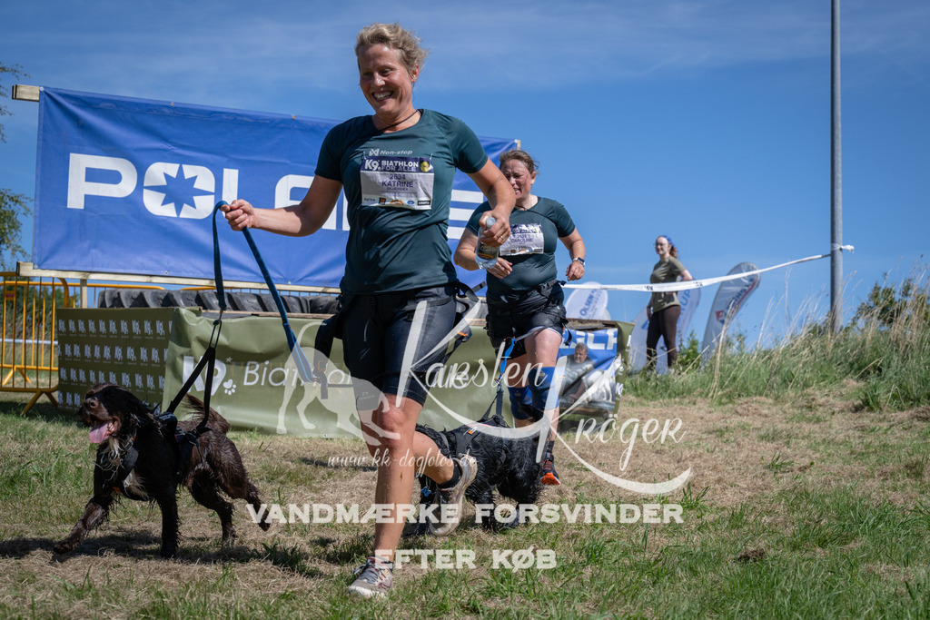 1212_ZZ94459 | kk-dogfotos