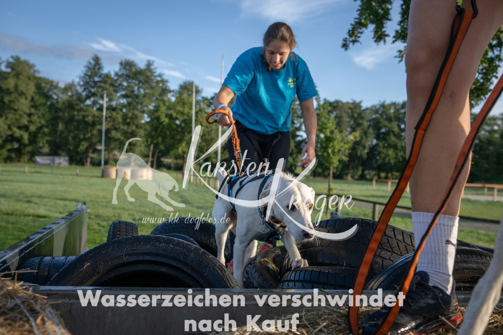 0821_ZZ91084 | kk-dogfotos