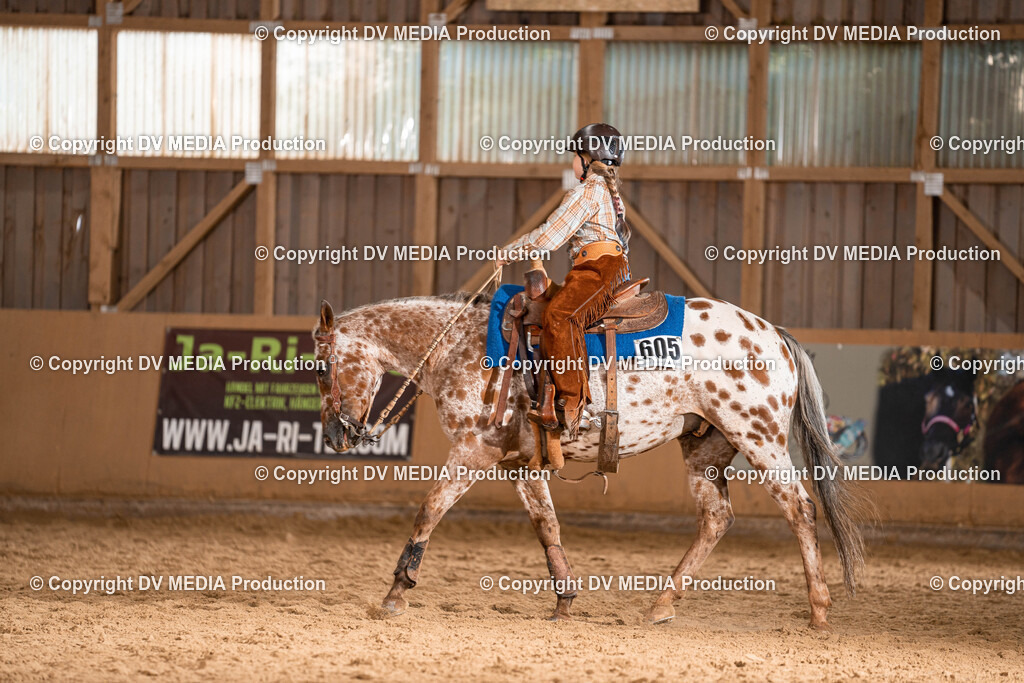 Losheim Tag 1-172 | dv-media-shop - Realisiert mit Pictrs.com