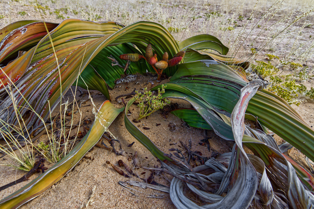 1H5A2603 | ansichtssache