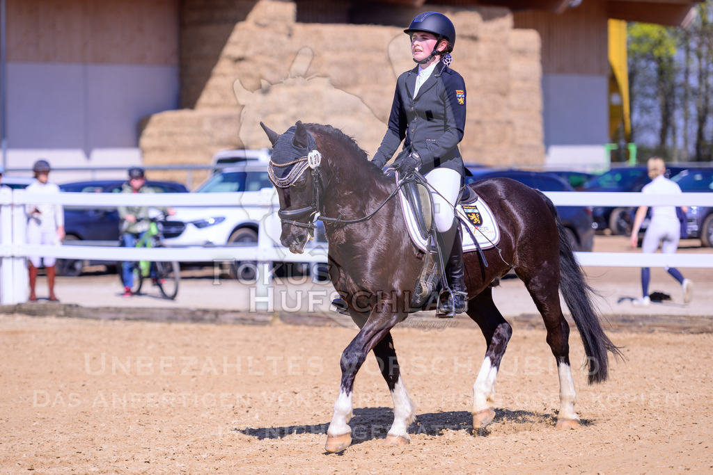 11042026-Mammendorf-Prfg31-1-0442 | Fokus Hufschlag Fotografie - Realisiert mit Pictrs.com