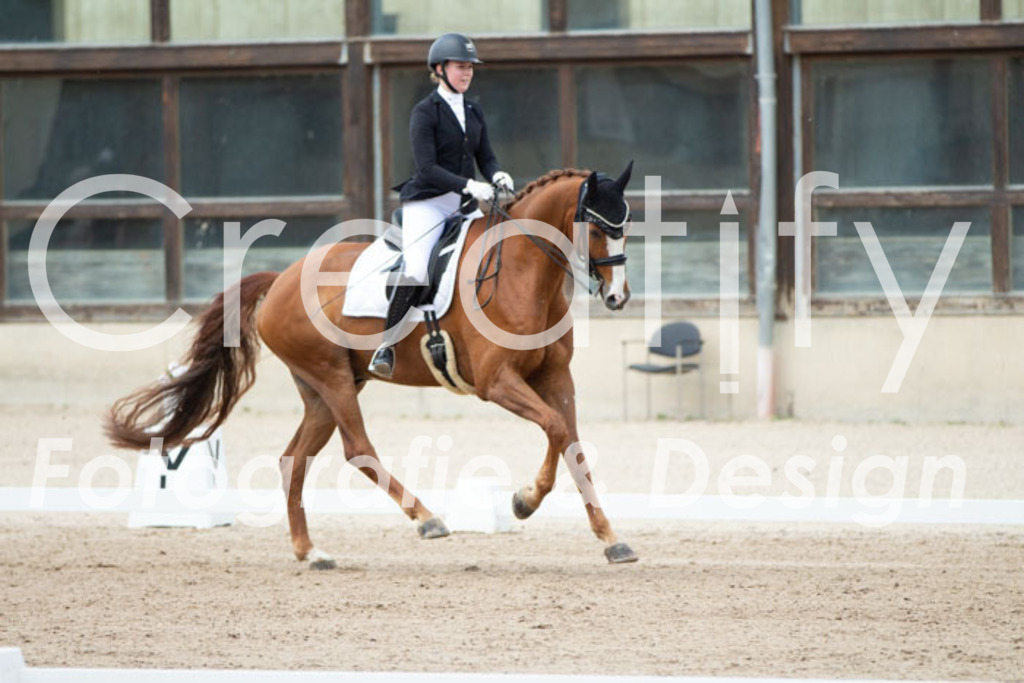 IMG_6210 | Creatify Fotografie