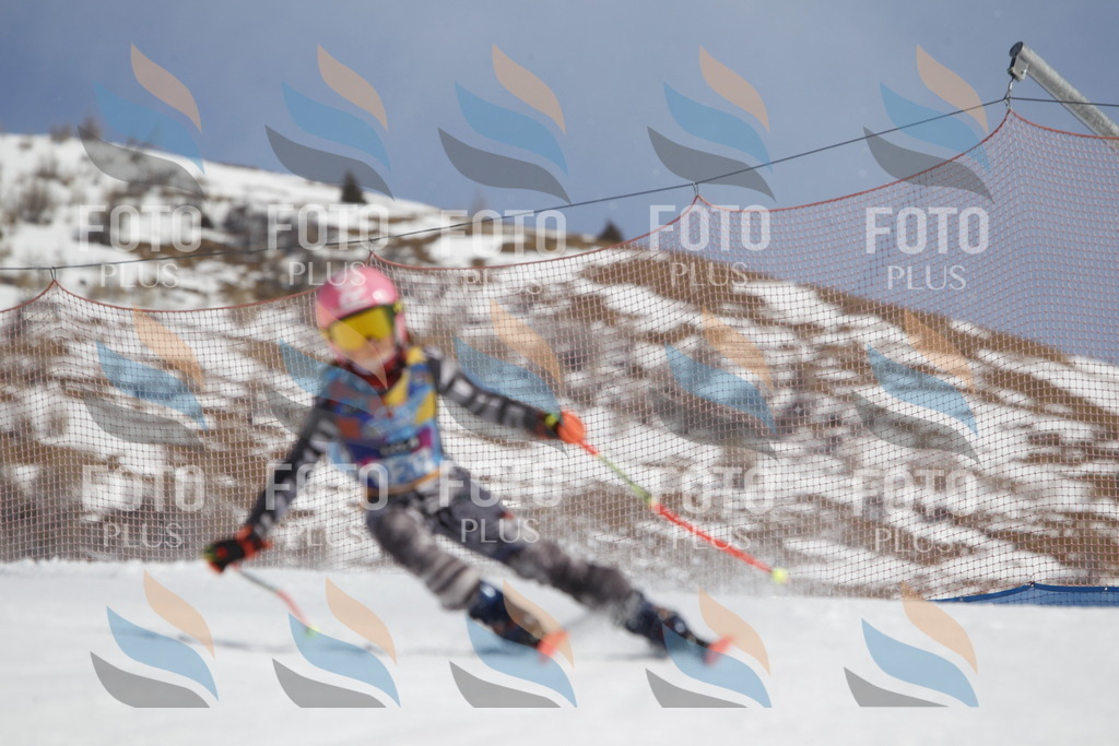 _U3G0690 | holidayphoto