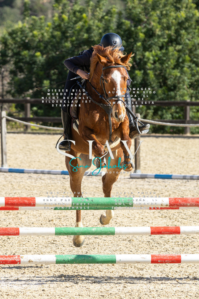 IMG_3919 | s-jay-photography - Realisiert mit Pictrs.com