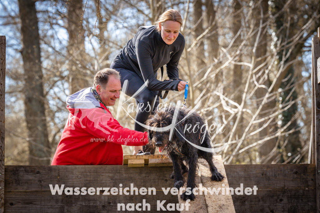 0913_ZZ94184 | kk-dogfotos